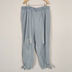 American Eagle Outfitters Women's Pants Size XL Blue Cotton Jogger Casual TieLeg